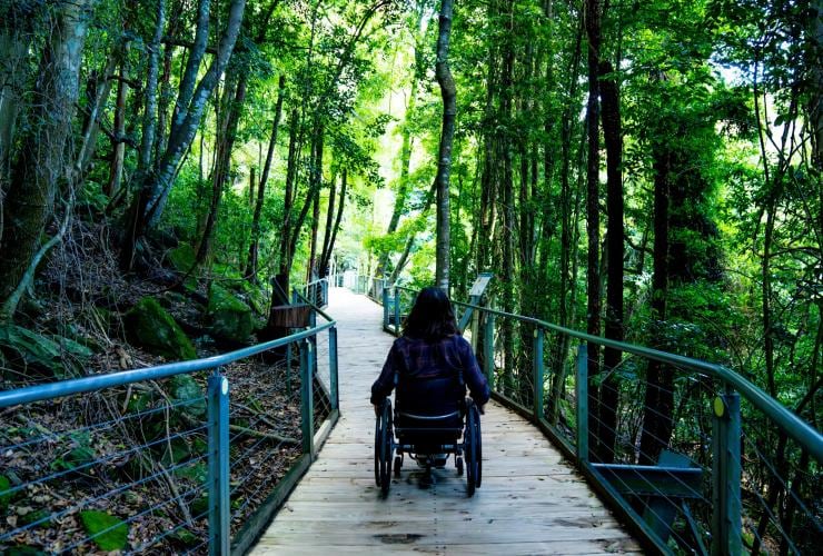 휠체어를 탄 남성이 블루 마운틴 내 트레일을 따라가는 모습, 뉴사우스웨일스 © 호주정부관광청