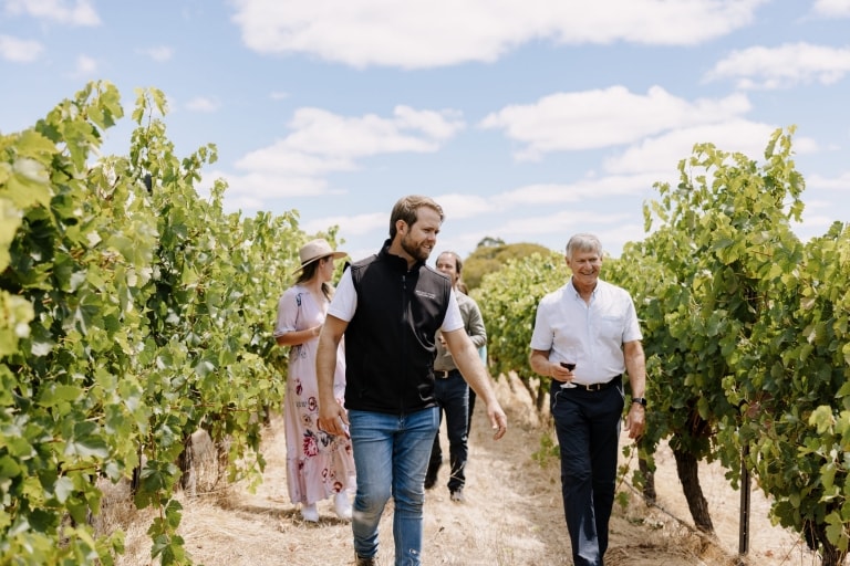 A tour guide walking between two rows of grape vines with a group of guests with wine glasses in hand in Margaret River, Western Australian © Tourism Australia