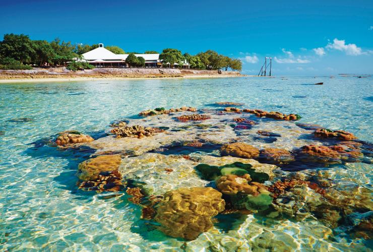 Heron Island, Great Barrier Reef, Queensland © Paul Giggle, Tourism and Events Queensland