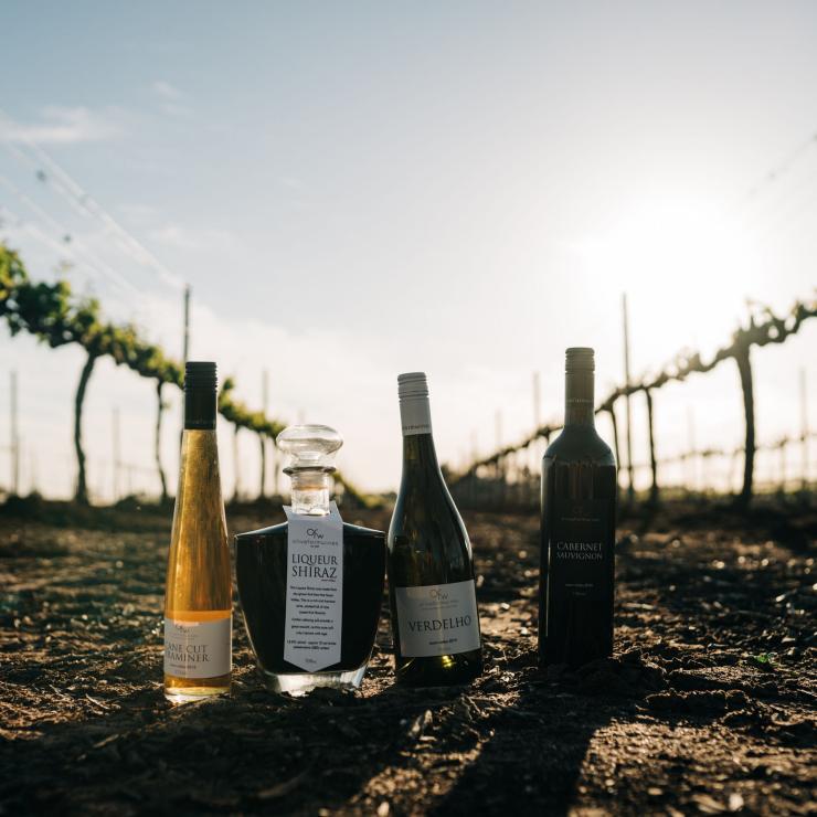 Weinberg von Olive Farm Wines, Swan Valley Westaustralien © Boomtown Pictures