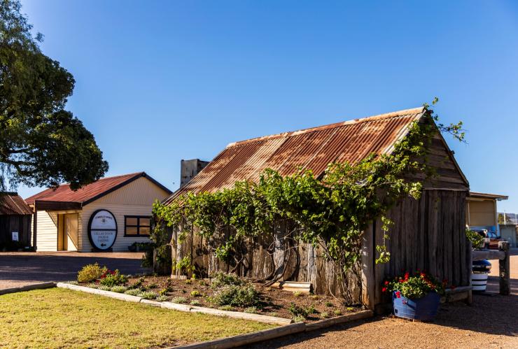 Das malerische Gelände von Tyrrell's, Pokolbin, New South Wales © Destination NSW