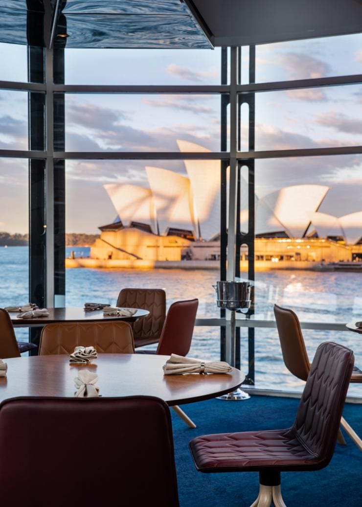 Blick auf das Sydney Opera House vom Restaurant Quay © Nikki To