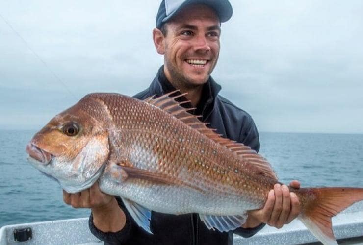 Snapper, Südaustralien © Great Fishing Australia