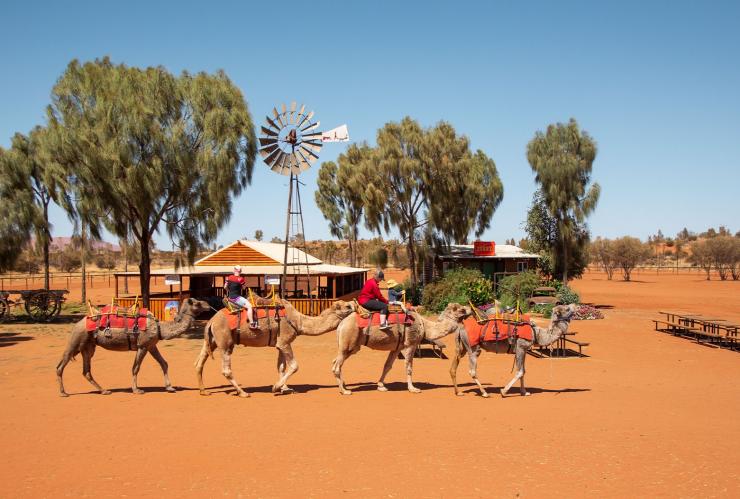 Uluru Camel Farm, Yulara, Northern Territory © Tourism Australia