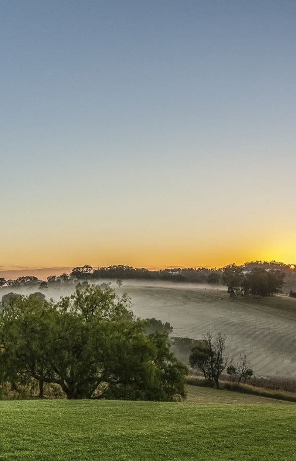 d’Arenberg Winery, McLaren Vale, South Australia © Trent Martin Photography