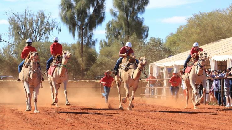 Alice Springs Camel Cup, Alice Springs, Territoire du Nord © Uluru Camel Racing Club