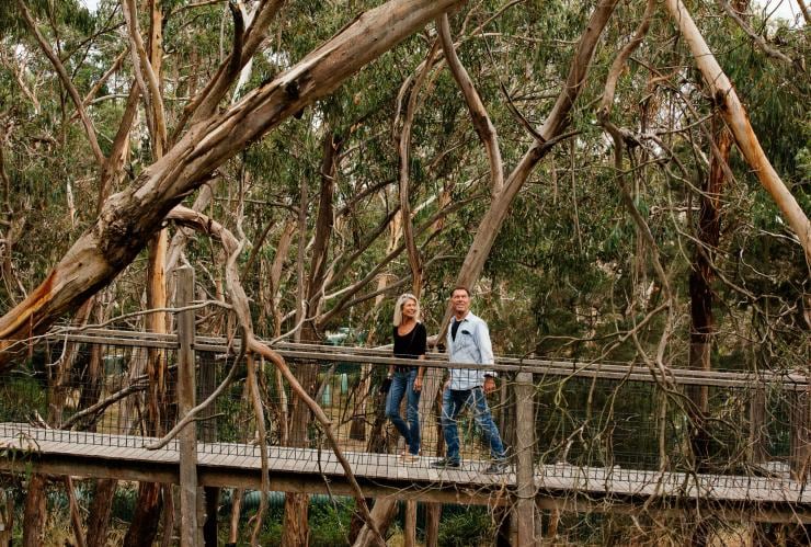 Couple marchant sur une passerelle suspendue dans la Koala Conservation Reserve, Phillip Island, Victoria © Tourism Australia