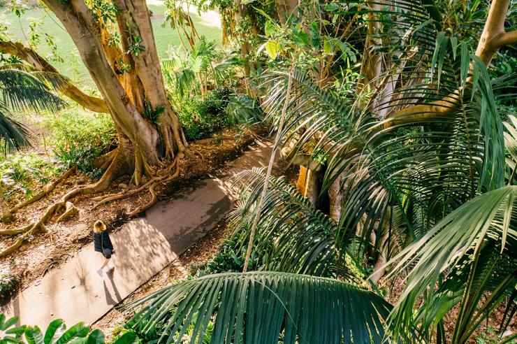 Seorang wanita berjalan di Adelaide Botanic Garden © Tourism Australia Seorang wanita berjalan di Adelaide Botanic Garden © Tourism Australia