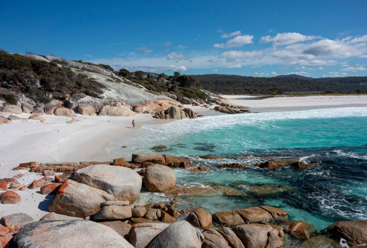 Nikmati keagungan alam dengan mendaki wukalina Walk di sepanjang pantai yang spektakuler © Tourism Australia