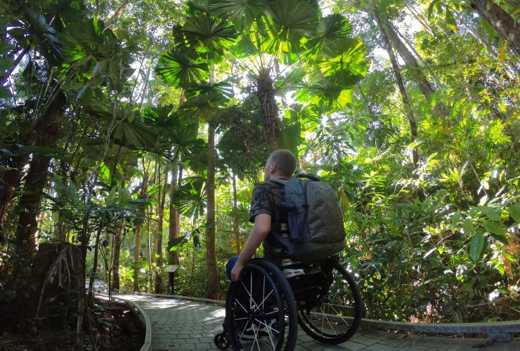 Seorang pria duduk di kursi roda memandang kanopi Daintree Rainforest, Queensland © Tourism and Events Queensland