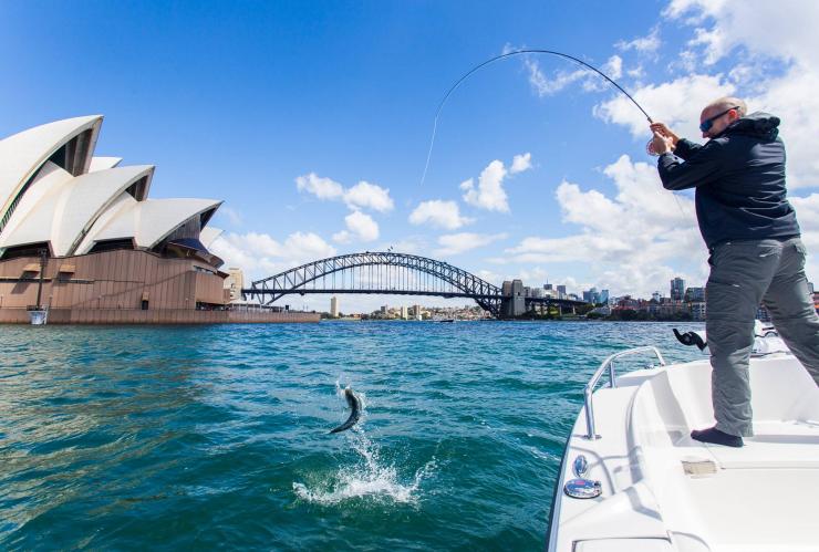 Pesca a mosca a Sydney, New South Wales © Justin Duggan