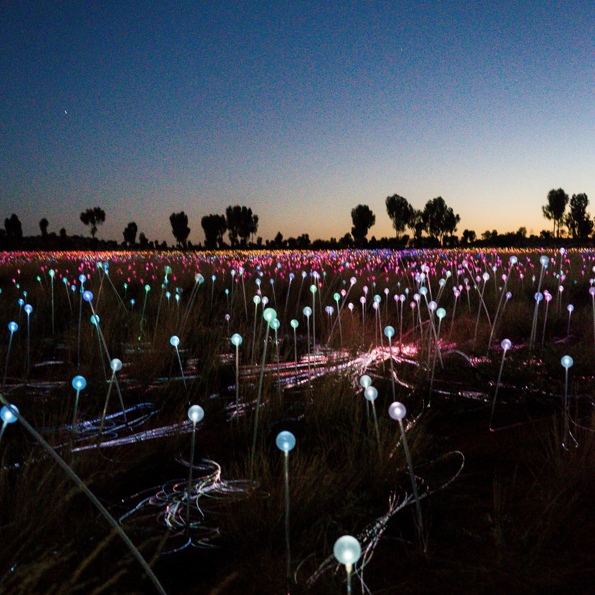 Installazione Field of Light nei pressi di Uluru © Stephen Parry