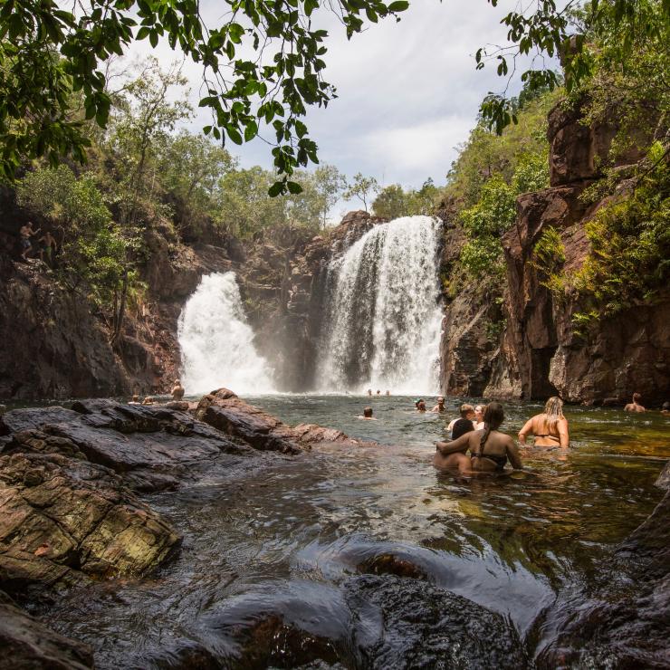 I nuotatori si tuffano nelle Florence Falls nel Litchfield National Park, Northern Territory © Tourism Australia