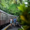 Kuranda Scenic Railway, Kuranda, Queensland © Tourism and Events Queensland