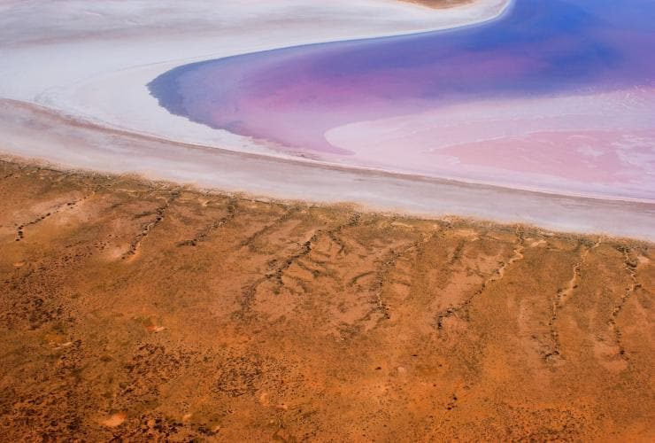 南オーストラリア州、エア湖国立公園、エア湖（Lake Eyre）© South Australian Tourism Commission