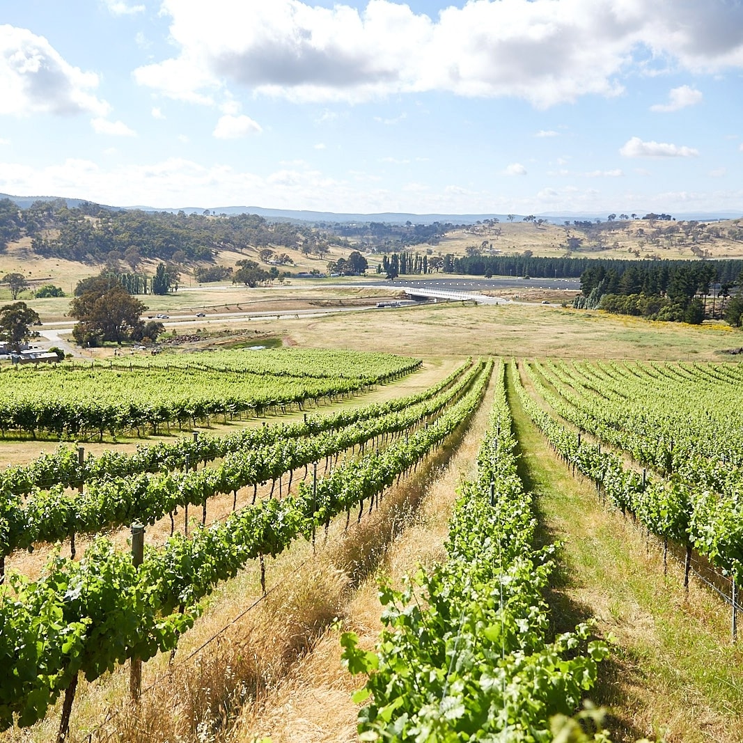 オーストラリア首都特別地域、キャンベラ地方のワイン産地 © ACT Tourism