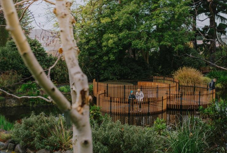 ホバートのタスマニア王立植物園にある池 © Lusy Productions