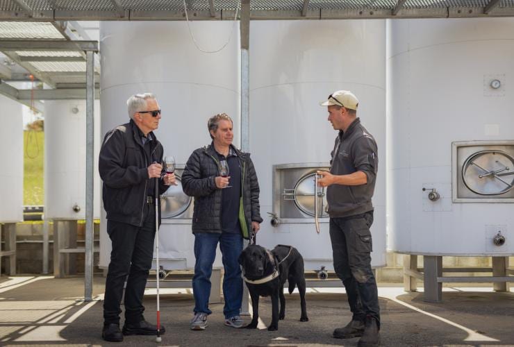 タスマニア州、リッチモンド、パドルダック・ヴィンヤードで、友人やツアー・ガイドとワインを試飲する盲導犬を連れた男性 © Dearna Bond