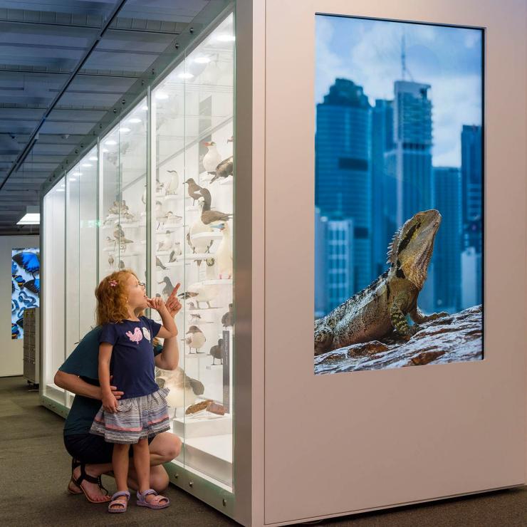퀸즐랜드 박물관의 디스커버리 센터에서 전시물을 보고 있는 어린이와 부모, 브리즈번, 퀸즐랜드 © 퀸즐랜드 박물관 네트워크
