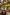 그라운즈 오브 알렉산드리아, 알렉산드리아, 뉴사우스웨일스 © 뉴사우스웨일스주 관광청
