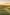 센터니얼 포도원, 보랄, 서던 하이랜즈, 뉴사우스웨일스 © 뉴사우스웨일스주 관광청