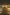 설치 미술 작품 필드 오브 라이트 한가운데를 걷고 있는 방문객 © 노던 테리토리 관광청/미첼 콕스(Mitchell Cox)