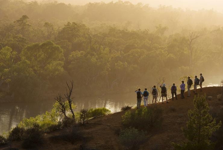 머레이 리버 워크, 머레이 강, 남호주 © 호주정부관광청