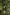 퀸즐랜드의 하틀리 크릭 크로커다일 어드벤처에서 물 밖으로 뛰어오르는 악어 © 호주정부관광청