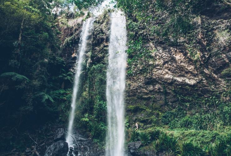 昆士蘭斯普林布魯克國家公園的雙子瀑布©昆士蘭旅遊及活動推廣局