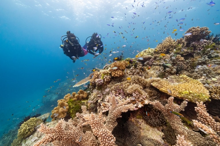 昆士蘭州大堡礁（Great Barrier Reef）約翰布魯爾礁（John Brewer Reef）©昆士蘭旅遊及活動推廣局