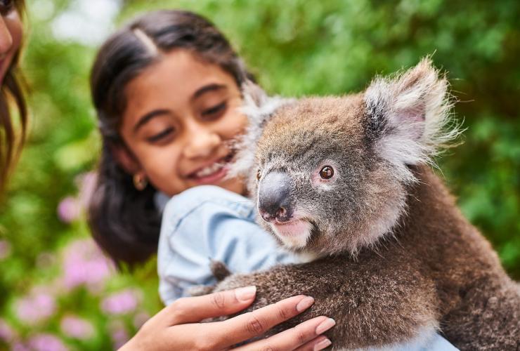 南澳袋鼠島袋鼠島野生動物公園©南澳旅遊局