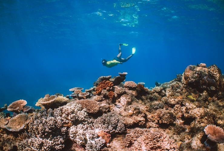 昆士蘭州麥基礁海洋探險©澳洲旅遊局