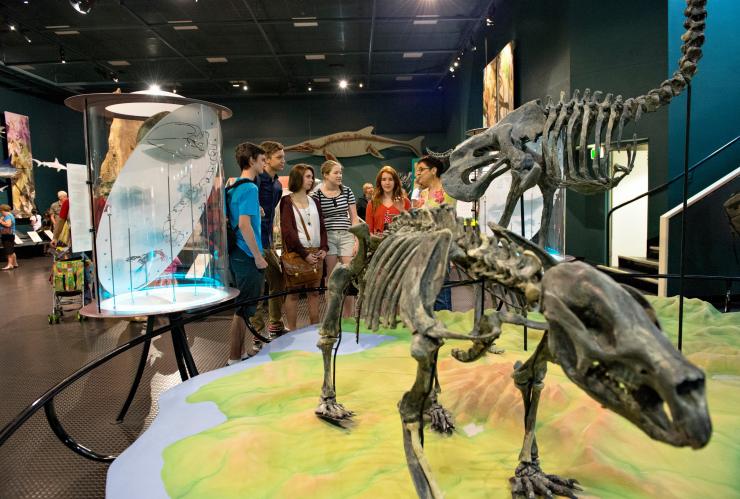 達爾文北領地博物館暨美術館內的動物骸骨©獲北領地旅遊局/Shaana McNaught授權使用
