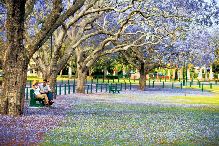 クイーンズランド州、ブリスベン、ニュー・ファーム公園 © Tourism and Events Queensland