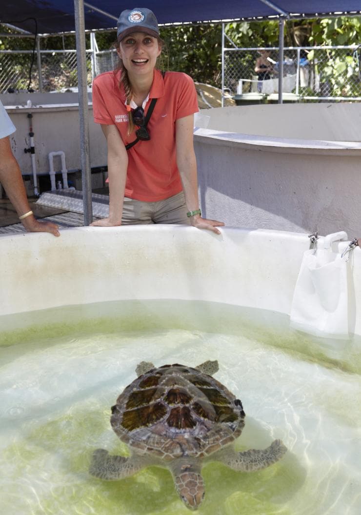 Turtle Rehabilitation Centre, Fitzroy Island, QLD © Tourism Australia