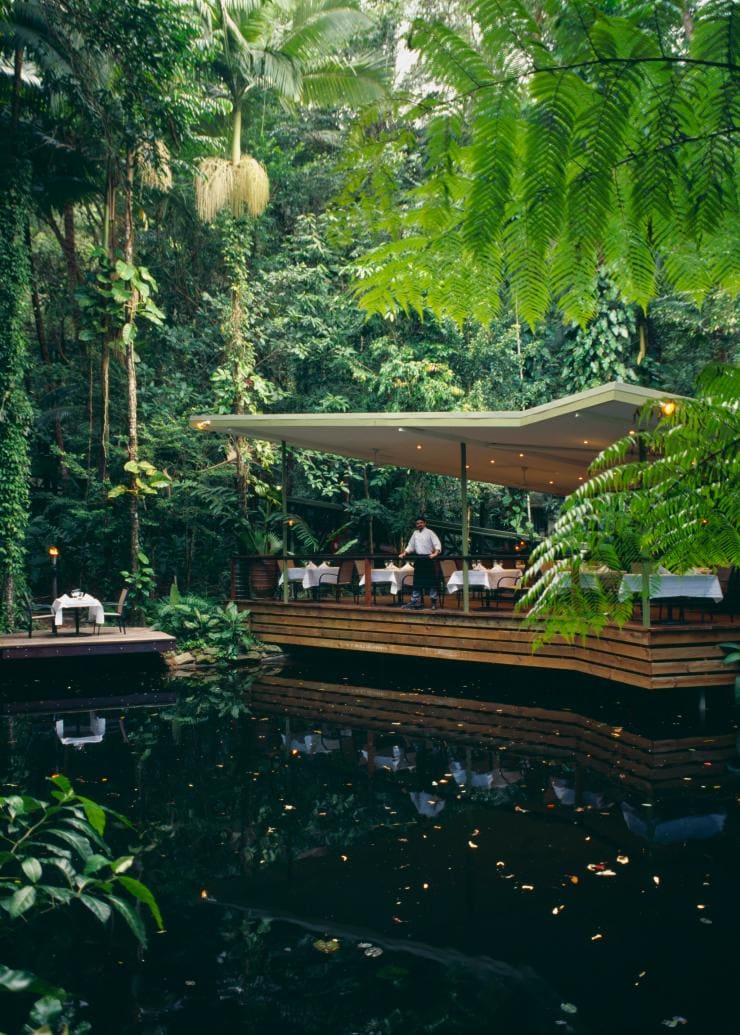 Daintree Eco Lodge and Spa, Daintree Rainforest, Queensland © Tourism Australia