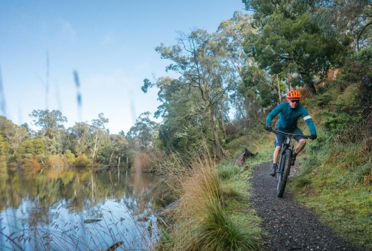 A person cycling on a dirt track through bushland alongside Jubilee Lake, Daylesford, Victoria © Visit Victoria