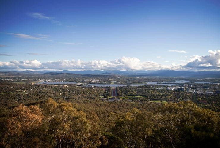Sweeping views over Canberra’s city and greenery from Mount Ainslie Lookout, Canberra, Australian Capital Territory © Tourism Australia