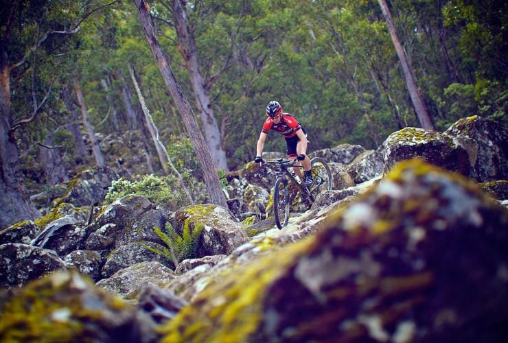 A person cycling on a rocky trail surrounded by greenery on the North-South Track, Kunanyi/Mt Wellington, Tasmania © Tourism Tasmania/Flow Mountain Bike