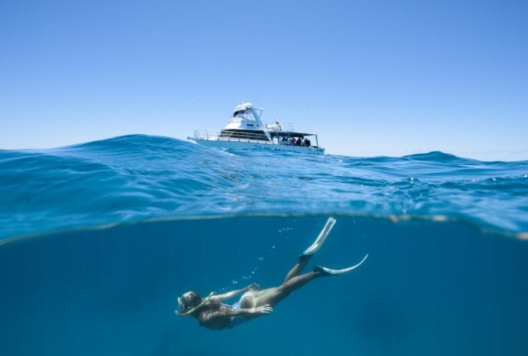 Adrenalin Dive and Snorkel sur Lodestone Reef, Grande Barrière de Corail, QLD © Townsville Enterprise Ltd