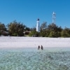 Lady Elliot Island, Grande Barrière de Corail, QLD © Tourism and Events Queensland