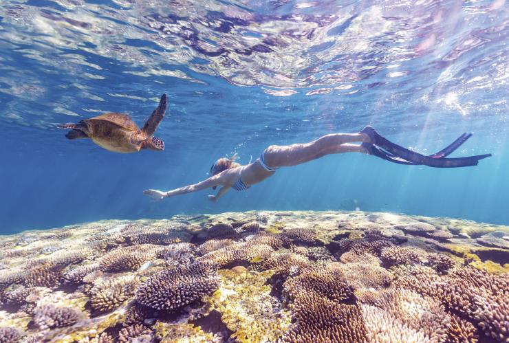 Séance de plongée avec masque et tuba, Ningaloo Reef, WA © Australia's Coral Coast
