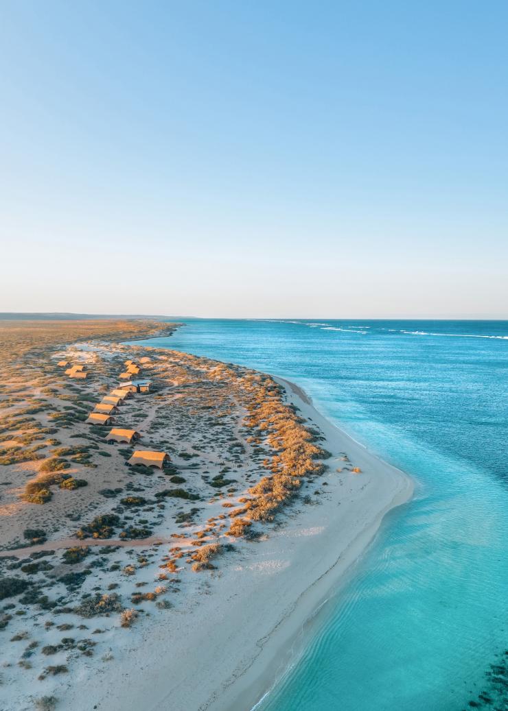 Pemandangan udara tenda-tenda mewah Sal Salis yang terhampar di pasir di tepi pesisir biru Ningaloo Reef, Western Australia © Sal Salis Ningaloo Reef