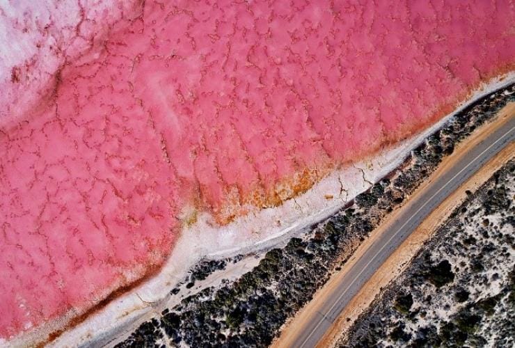 Pemandangan udara danau merah muda Hutt Lagoon, yang berbatasan dengan tanaman rimbun dan sebuah jalan di Kalbarri, Western Australia © Tourism Western Australia