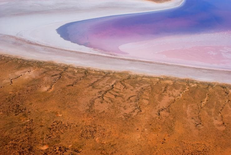 Pemandangan udara tepi perairan merah muda dengan corak ungu dan tepian berpasir Kati Thanda-Lake Eyre, Outback South Australia © South Australian Tourism Commission