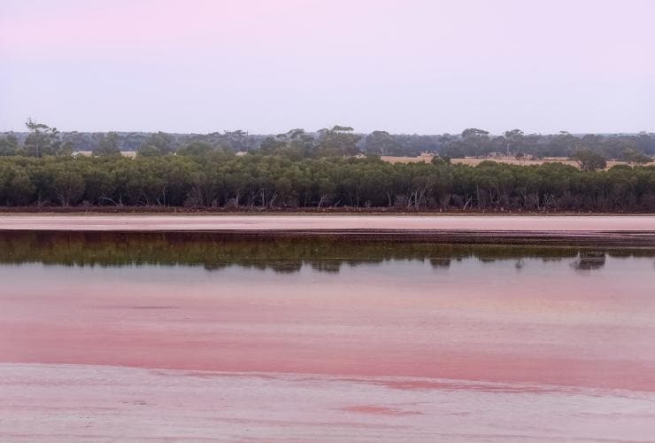 Vista di alberi che si riflettono in un lago rosa a Dimboola, Victoria © Visit Victoria