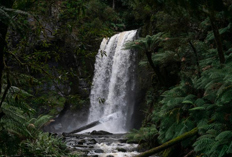 ビクトリア州、グレート・オトウェイ国立公園、滝 © Tourism Australia