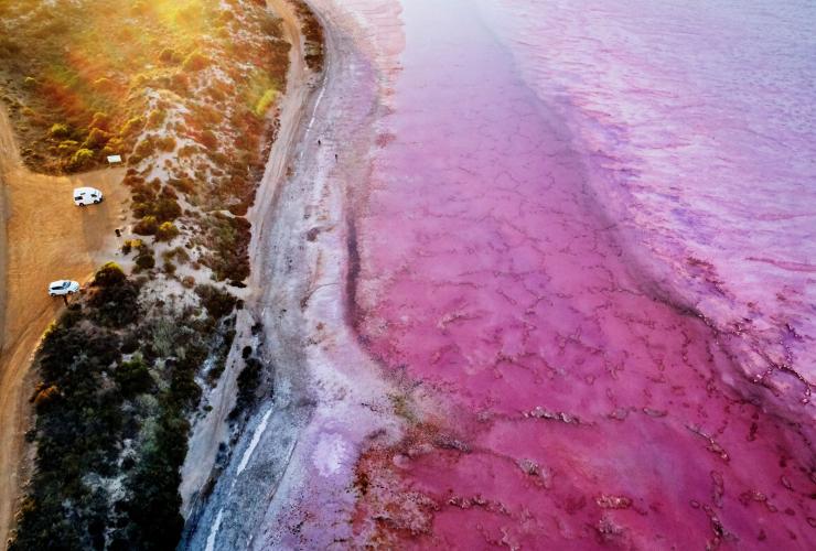 西オーストラリア州、カルバリ、草原と道路に囲まれピンク色の湖水を湛えたハット・ラグーンの湖畔に停められたキャンピングカー © Tourism Western Australia