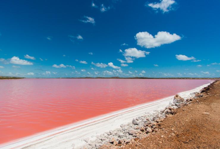 西オーストラリア州、カルバリ、ピンク色の湖水を湛えたハット・ラグーンの眺め © Australia’s Coral Coast