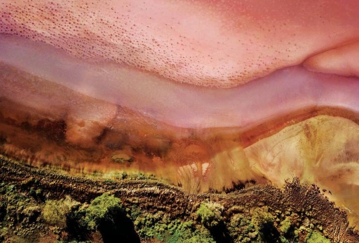南オーストラリア州、クレア・バレー、緑の草原に囲まれピンク色の水を湛えたバンバンガ湖の湖畔を捉えた空撮 © Olivia Reynolds